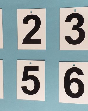 Set of Twelve End of Rink Numbers