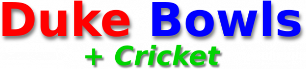 duke bowls plus cricket logo